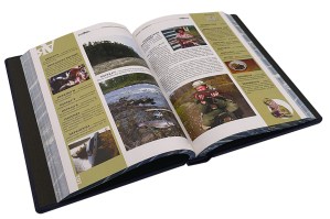 IMG_4699 копия17